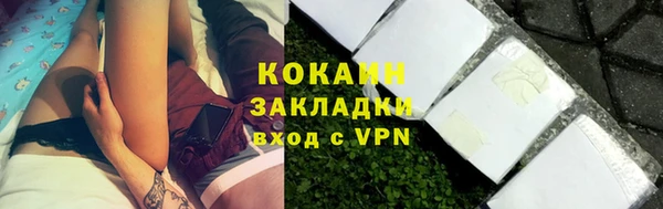 молекула духа Белоозёрский