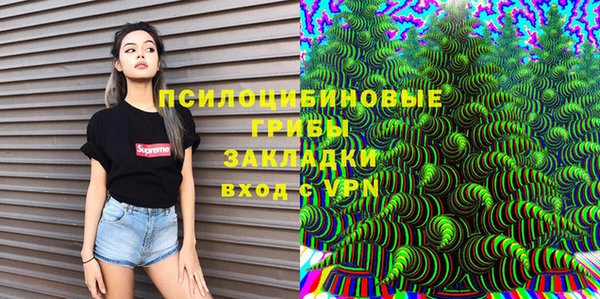 молекула духа Белоозёрский
