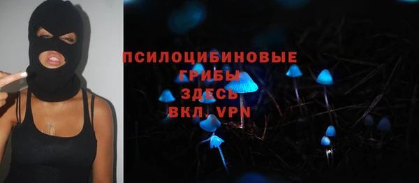 ALPHA PVP Беломорск