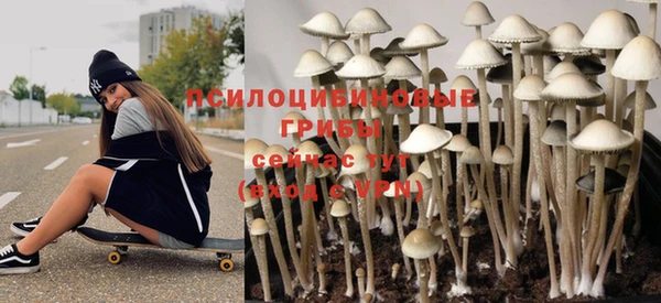 ALPHA PVP Беломорск