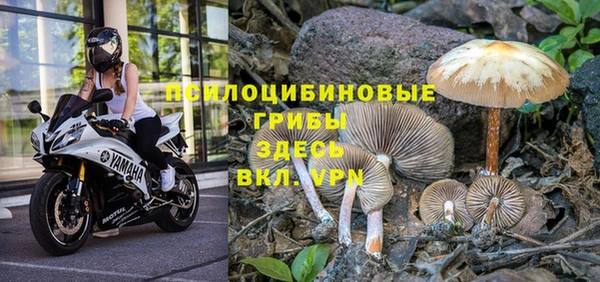 молекула духа Белоозёрский