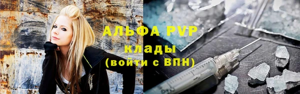 молекула духа Белоозёрский