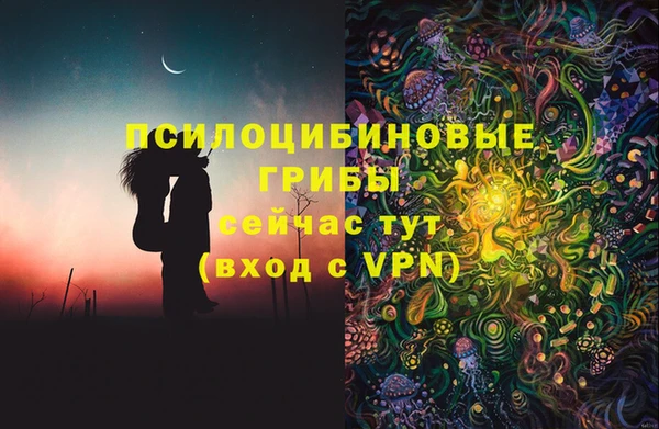 прущие крисы Белокуриха