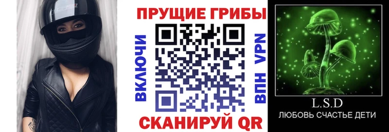 Псилоцибиновые грибы прущие грибы Городовиковск